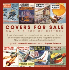 Barewalls.com Advertisement